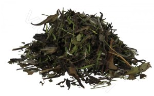 Biała herbata liściasta Pai Mu Tan - 500 g