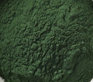 Spirulina sproszkowana - wysuszone glony, algi morskie, 250g.